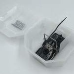 D2K - Mouse Bait Station Combo