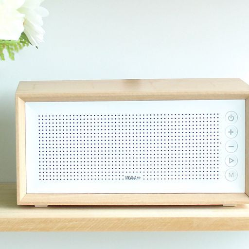 Moana Rd - Vintage Wooden Speaker