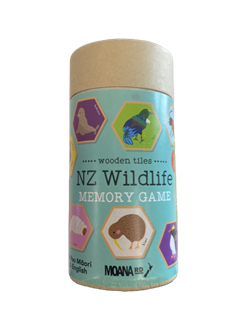 Moana Rd - Memory Games